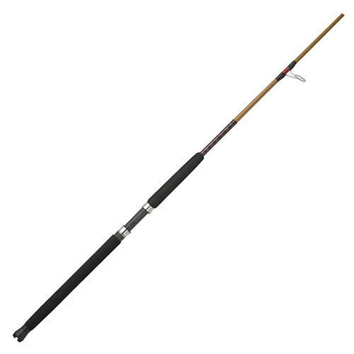 Spinning Fishing Rod E118