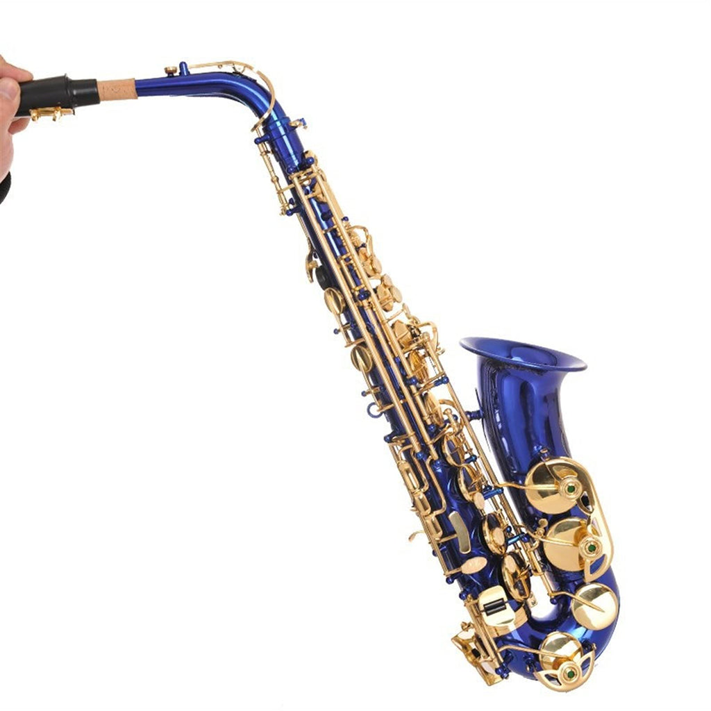Alto Saxophone Set L1645