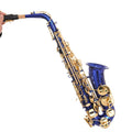 Alto Saxophone Set L1645