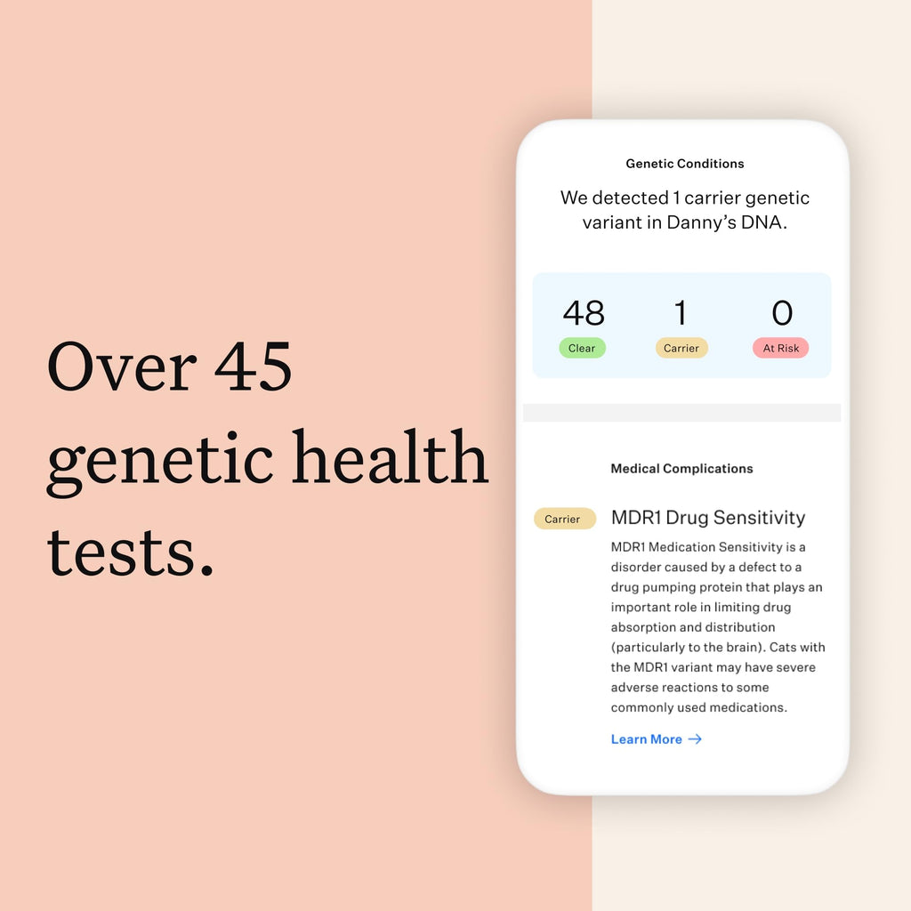 Cat DNA Test Kit, 45 Health Conditions, 1 Pack N951