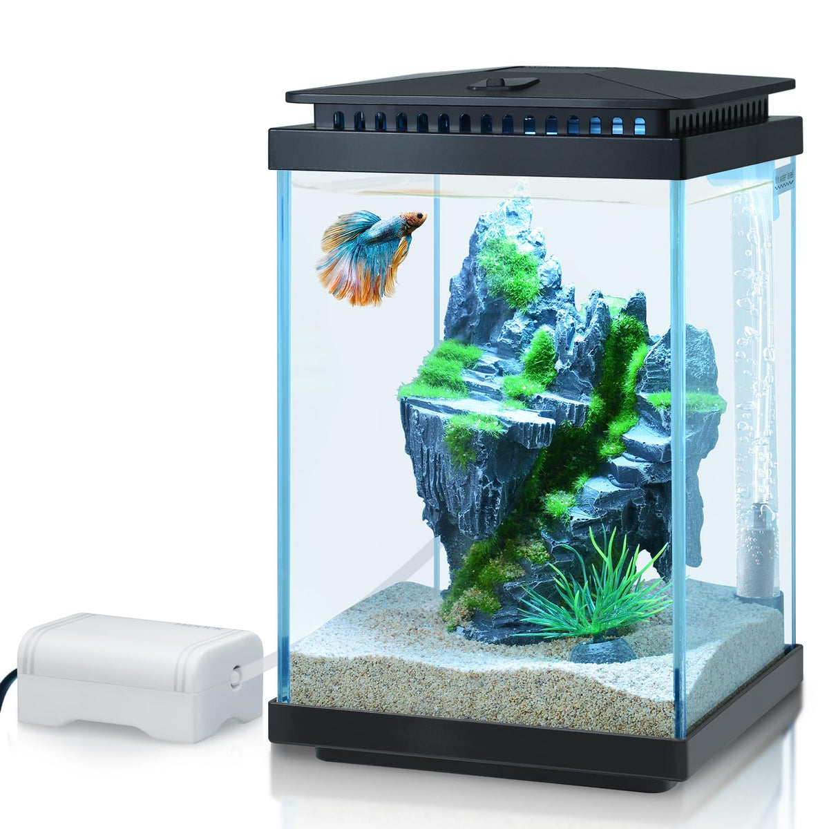 1 Gallon Small Glass Aquarium with Air Pump LED Light J9952