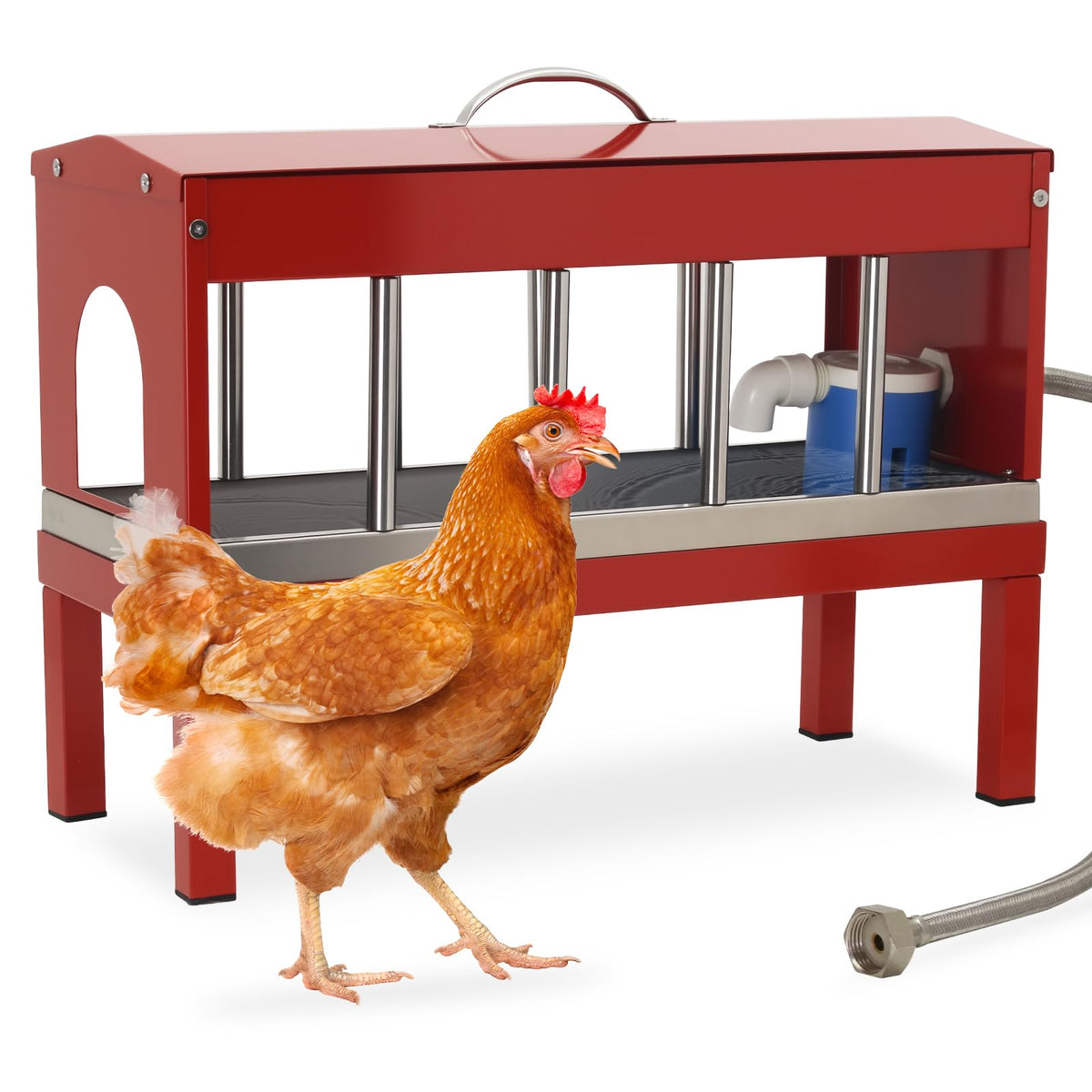 Automatic Stainless Steel Poultry Waterer Dispenser A67301
