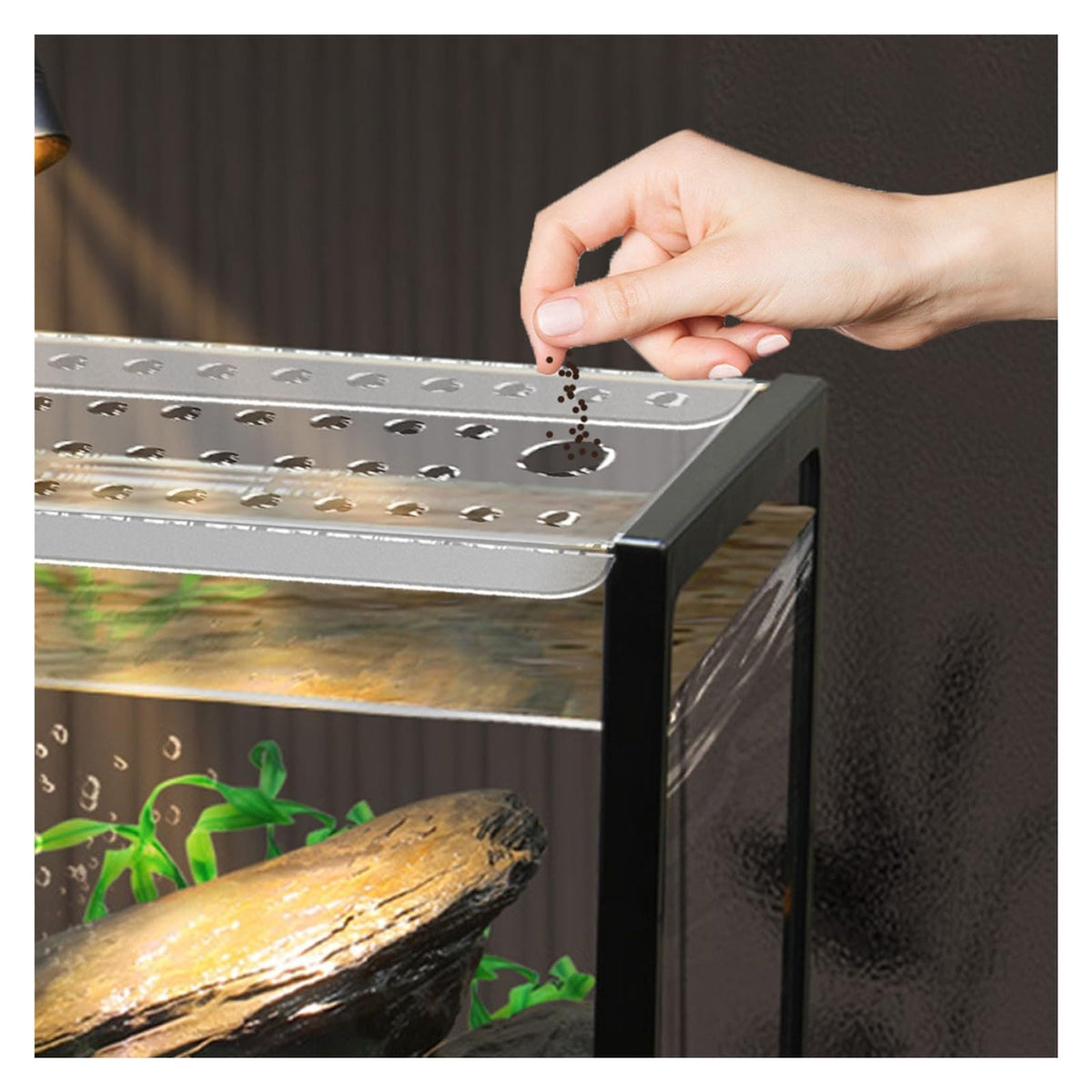 Ventilated Fish Tank Lid for 10-20 Gallon Aquariums Q7101