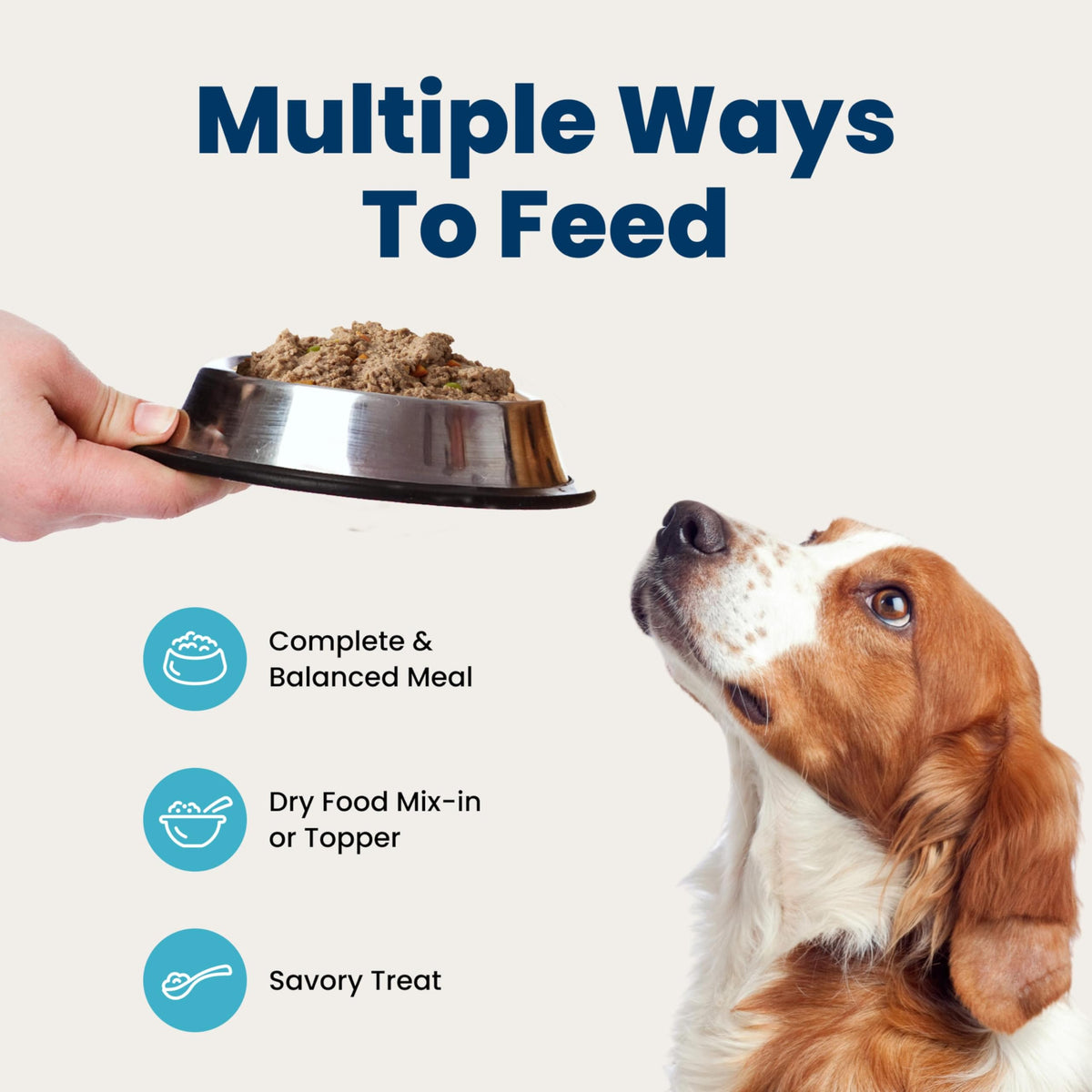 Wet Dog Food 12.5 oz 6 ct I7877
