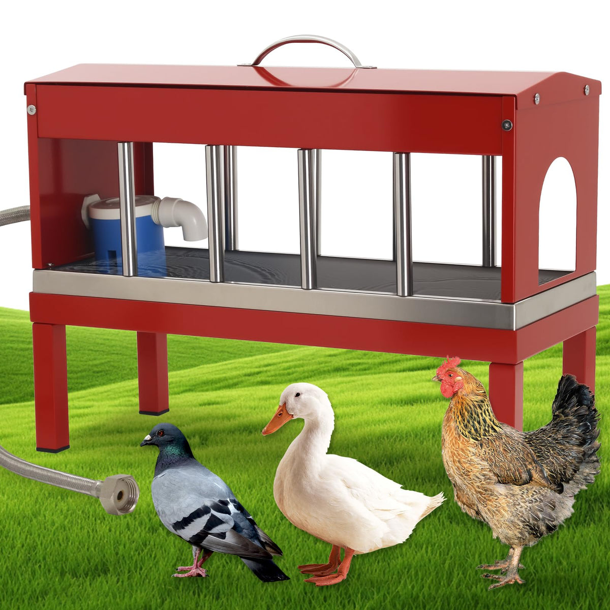 Automatic Stainless Steel Poultry Waterer Dispenser A67301