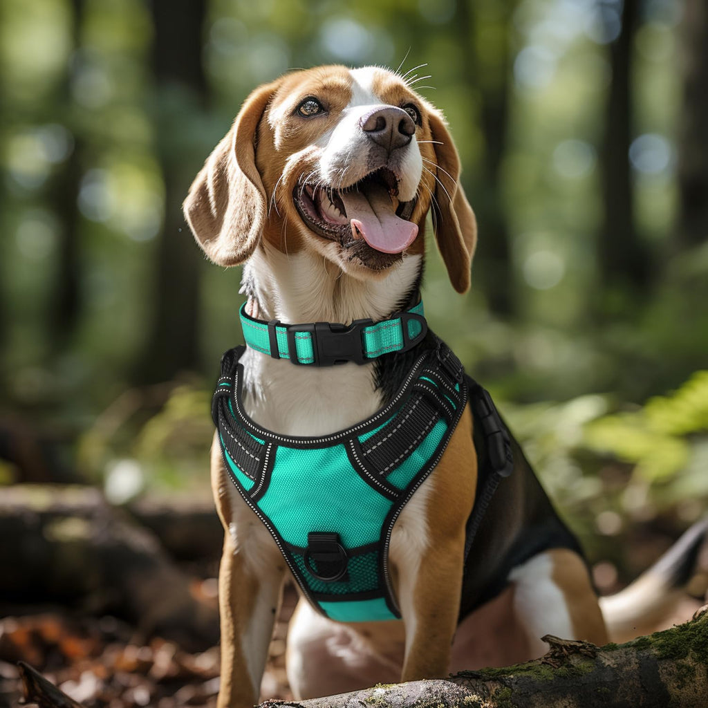 Reflective Adjustable Neoprene Padded Dog Collar S3331