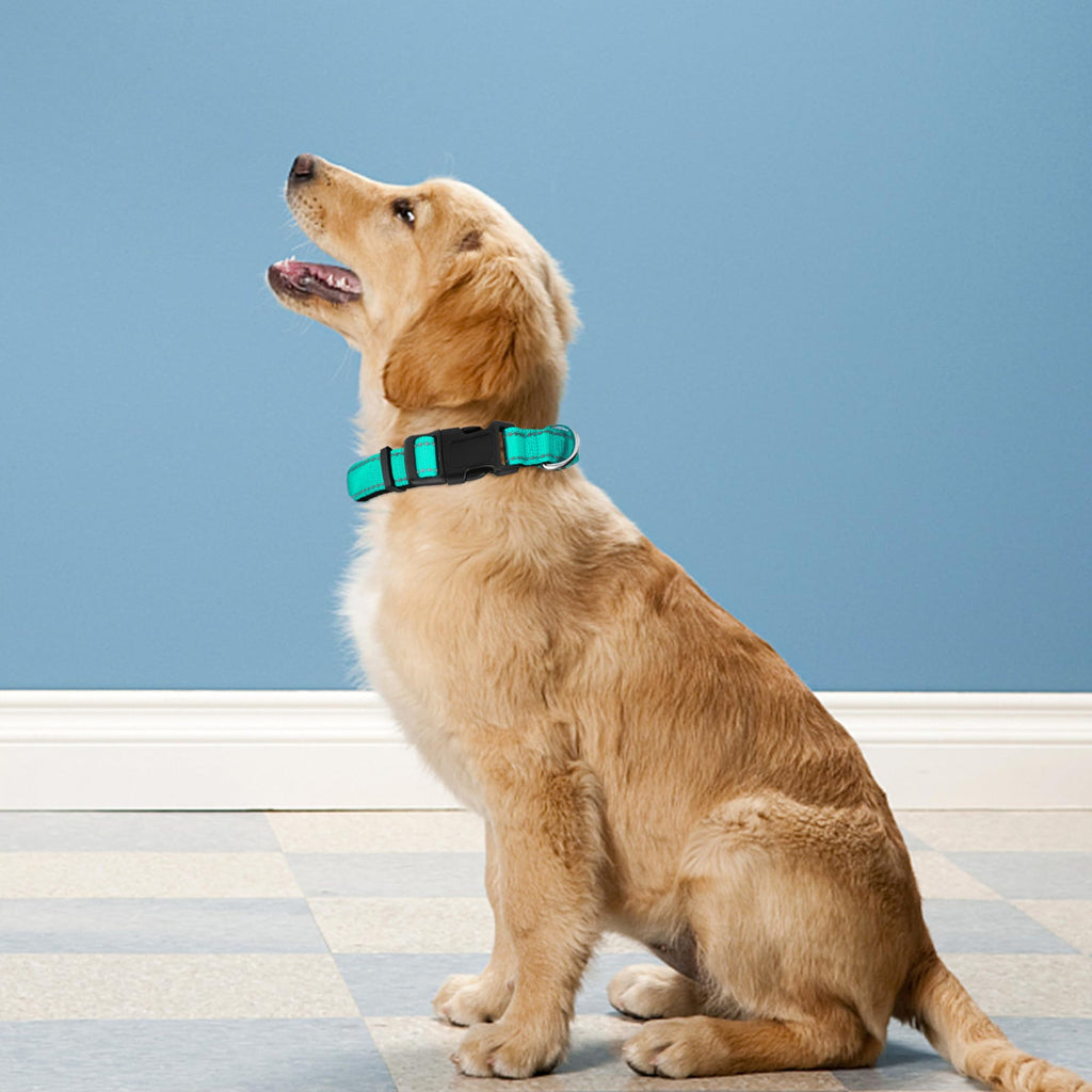 Reflective Adjustable Soft Neoprene Padded Dog Collar C29937