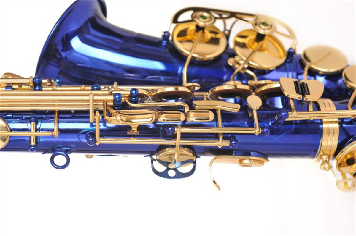 Alto Saxophone Set L1645