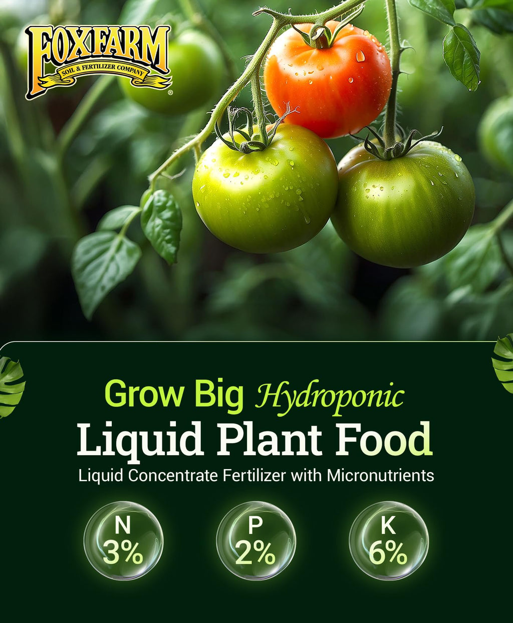 Liquid Plant Fertilizer 3-2-6 1 Pint L28125