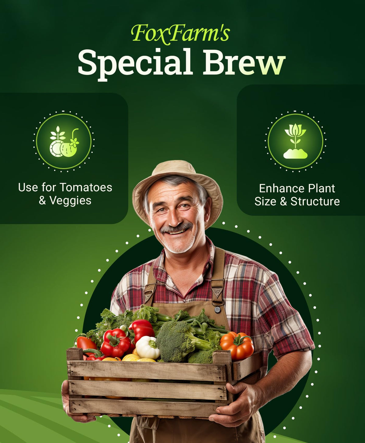 Liquid Plant Fertilizer 3-2-6 1 Pint L28125