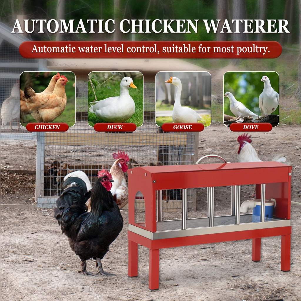 Automatic Stainless Steel Poultry Waterer Dispenser A67301