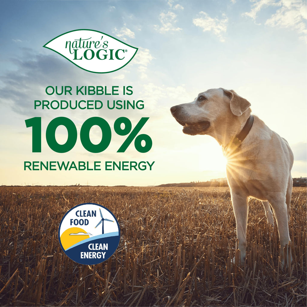Dehydrated Chicken Bone Broth Powder Dog & Cat Topper 6oz Z298