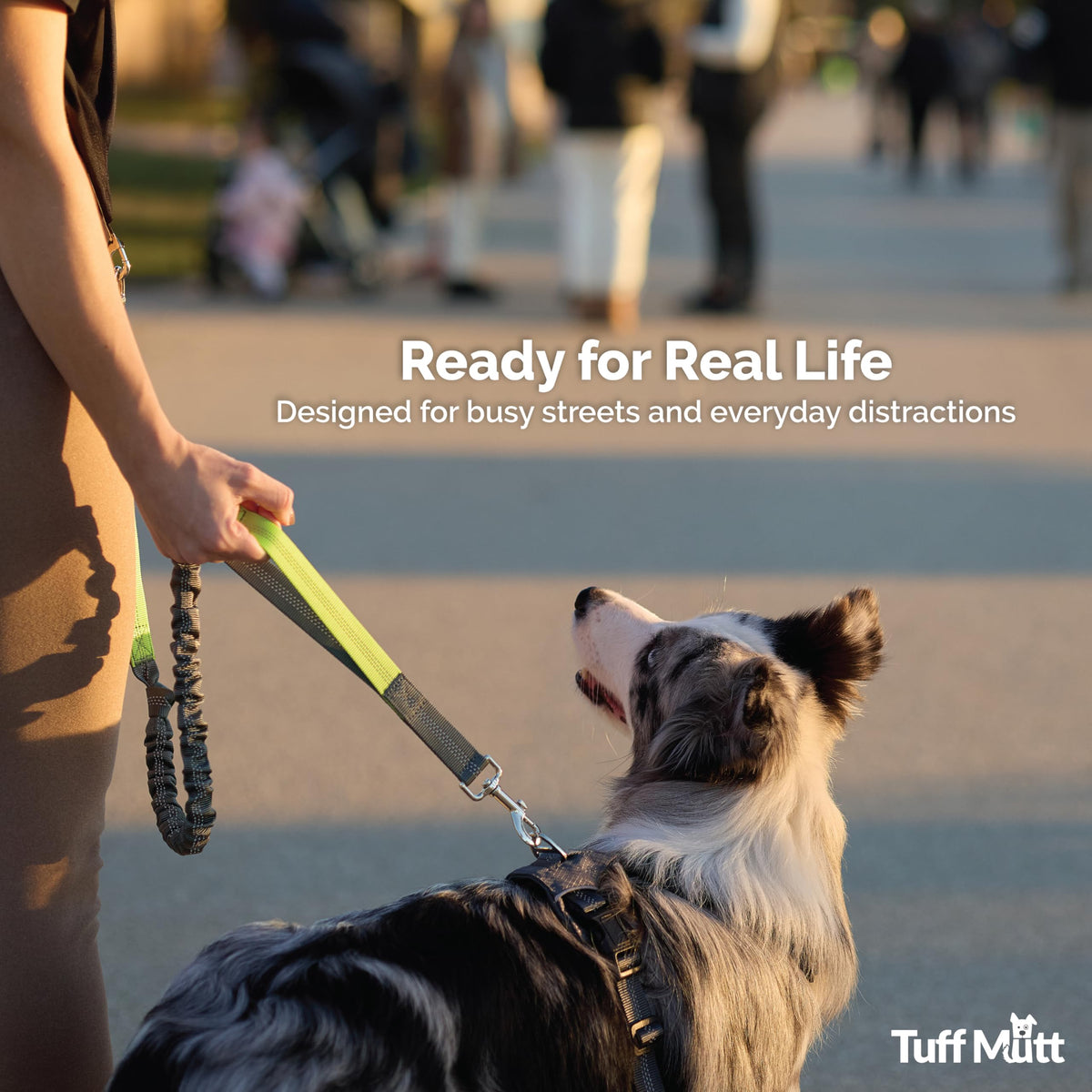 Hands Free Dog Leash Y786119