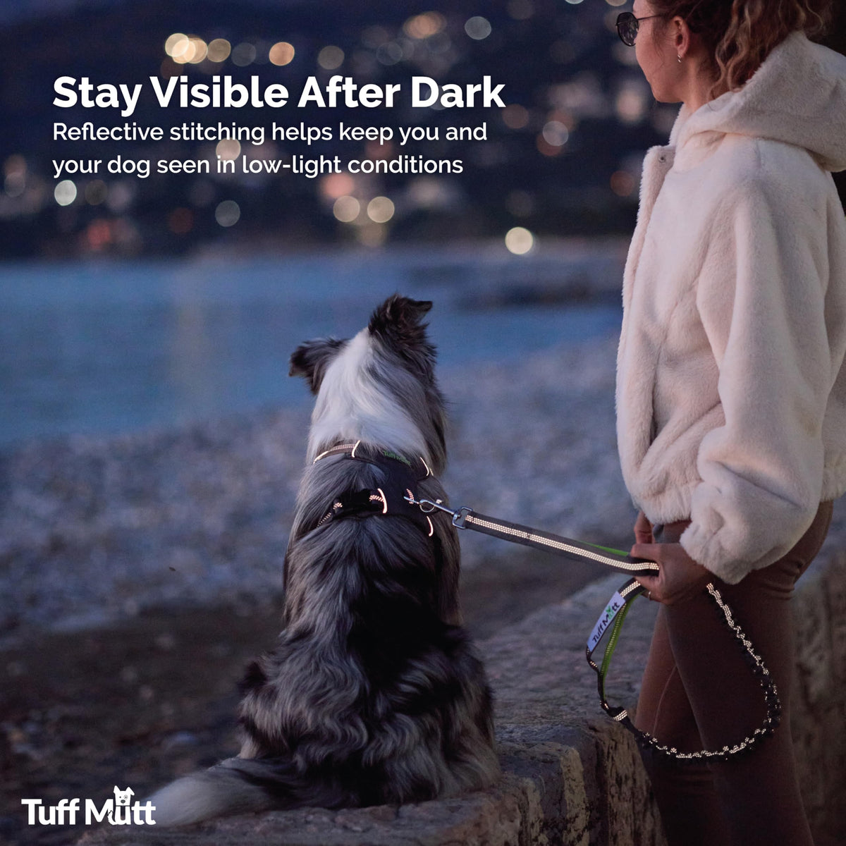 Hands Free Dog Leash Y786119