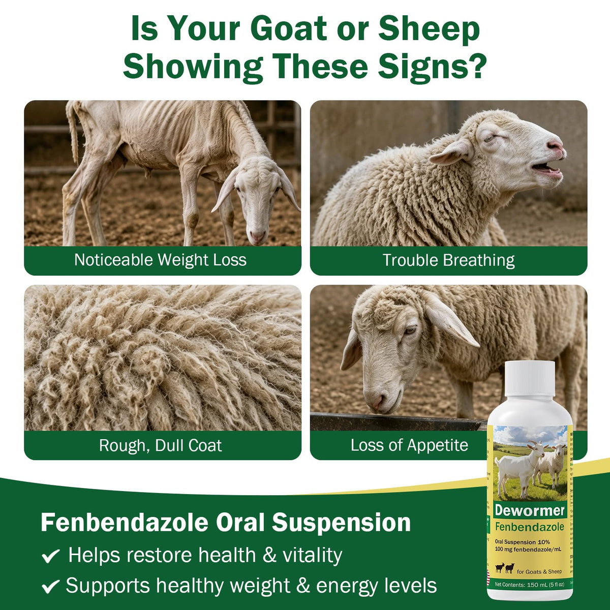 Liquid Dewormer with Fenbendazole X190534