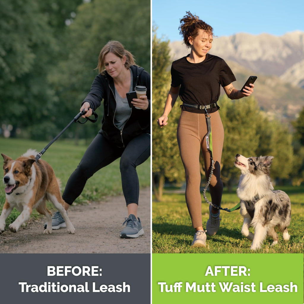 Hands Free Dog Leash Y786119