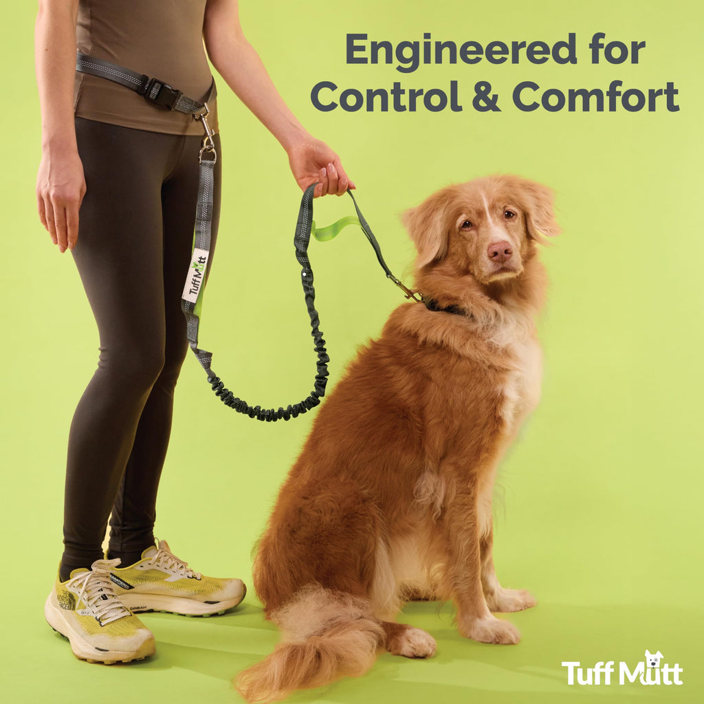 Hands Free Dog Leash Y786119