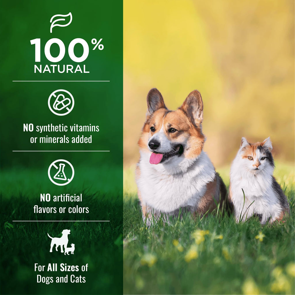 Dehydrated Chicken Bone Broth Powder Dog & Cat Topper 6oz Z298