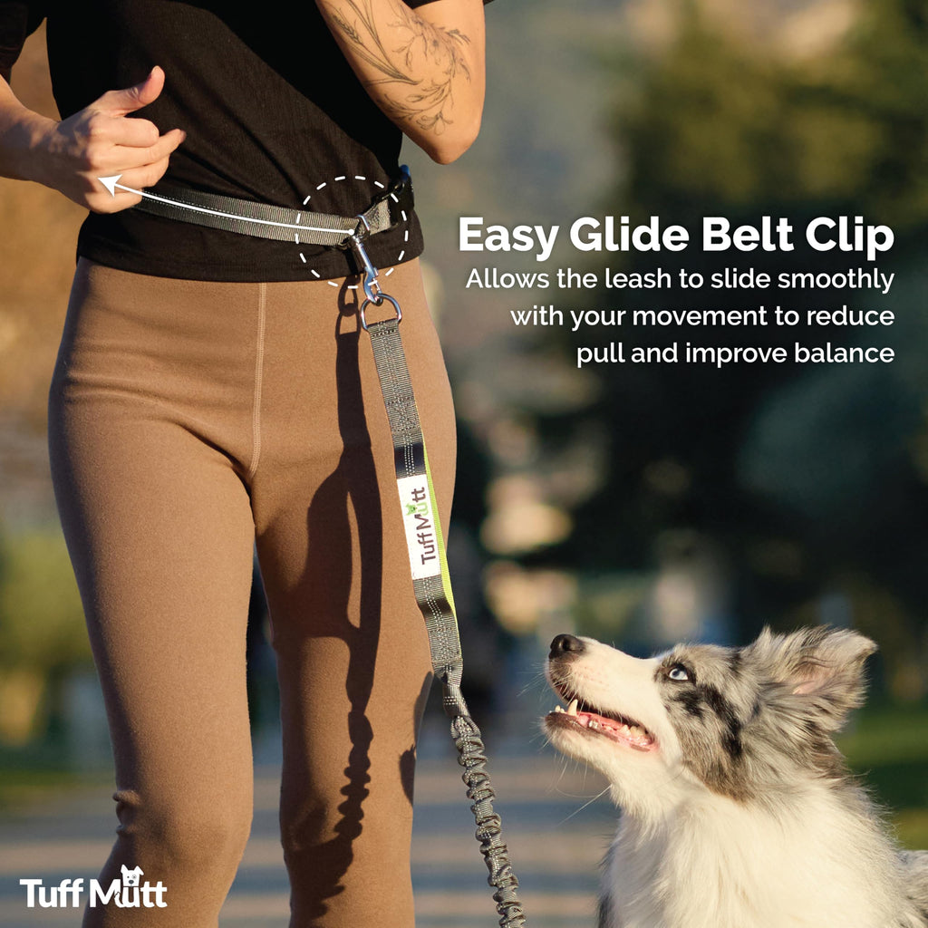 Hands Free Dog Leash Y786119