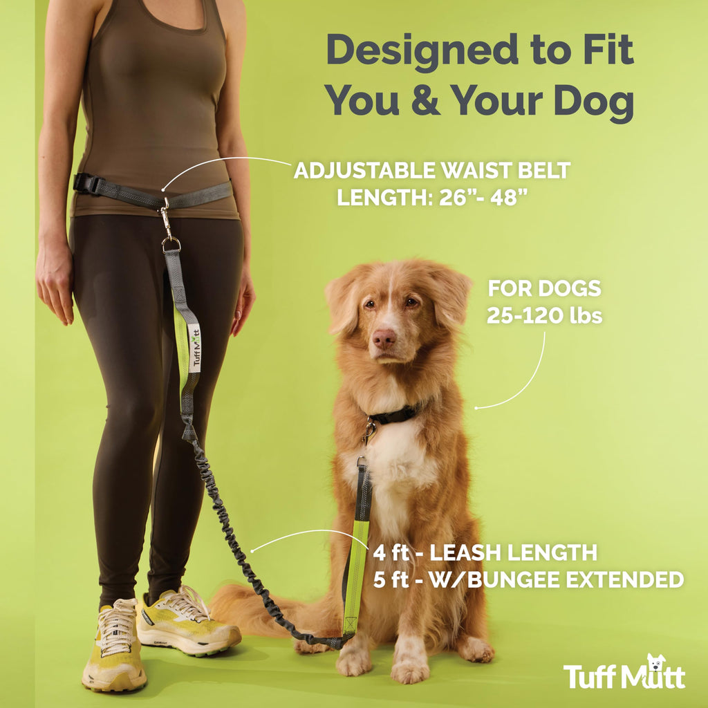 Hands Free Dog Leash Y786119