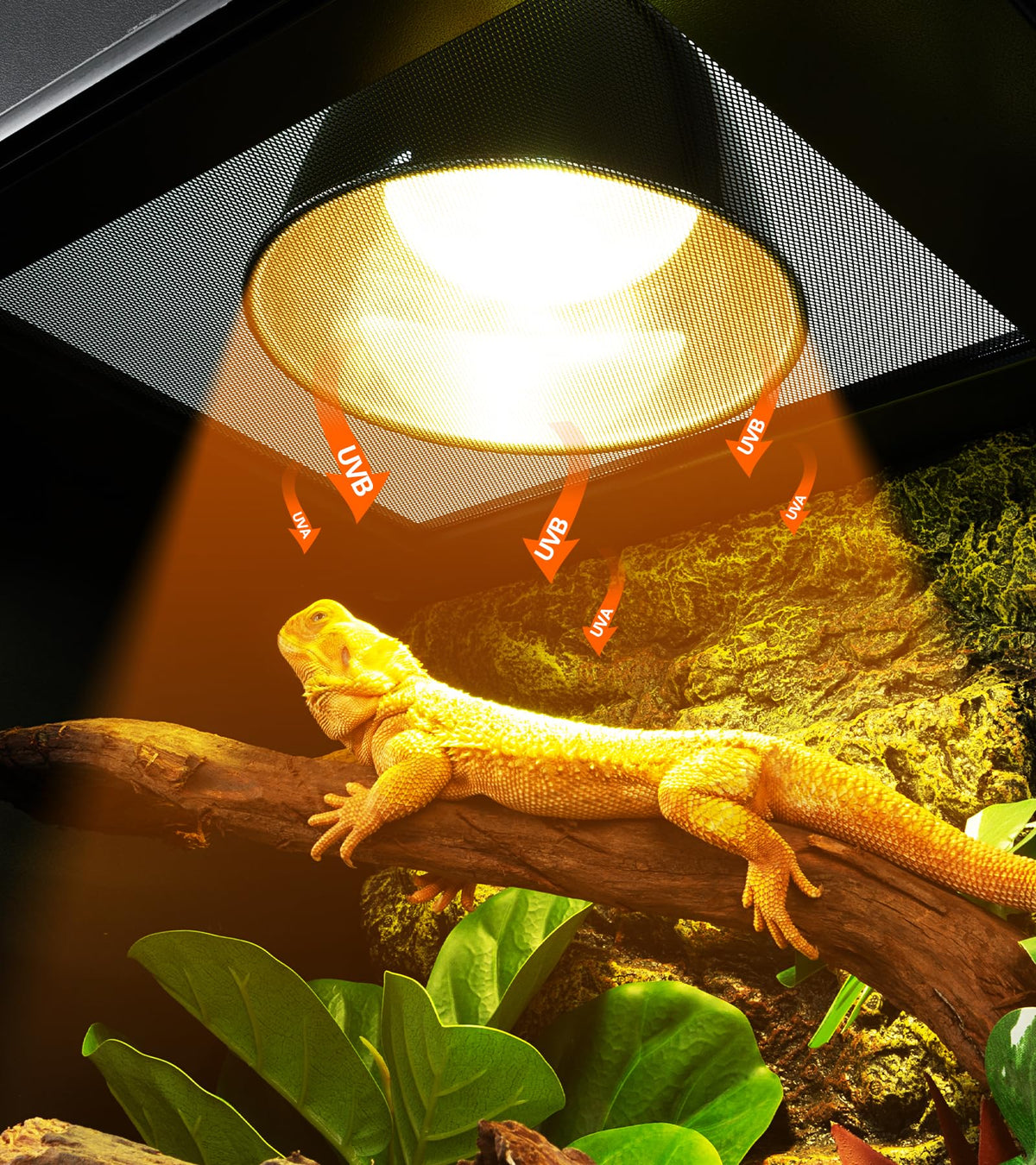 160W Reptile Heat Lamp UVA UVB Bulbs with 8.5 Inch Light Fixture Z7584
