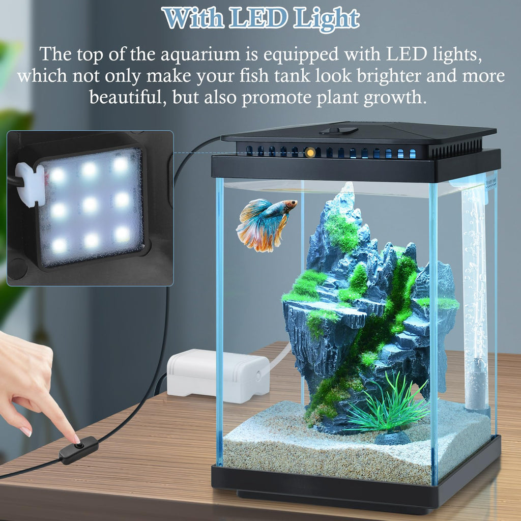 1 Gallon Small Glass Aquarium with Air Pump LED Light J9952