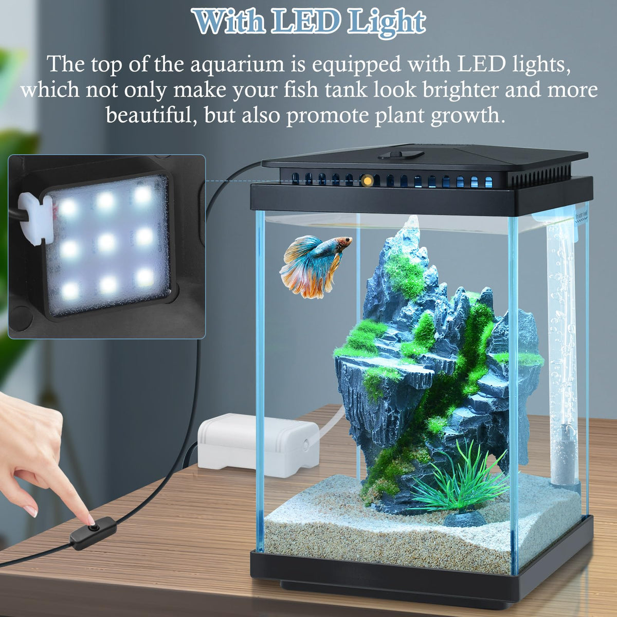 1 Gallon Small Glass Aquarium with Air Pump LED Light J9952