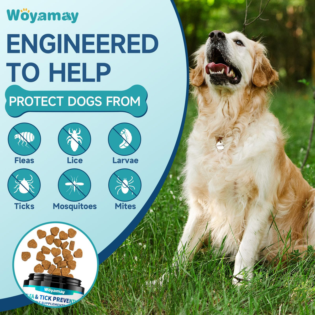 Flea and Tick Prevention for Dogs K200
