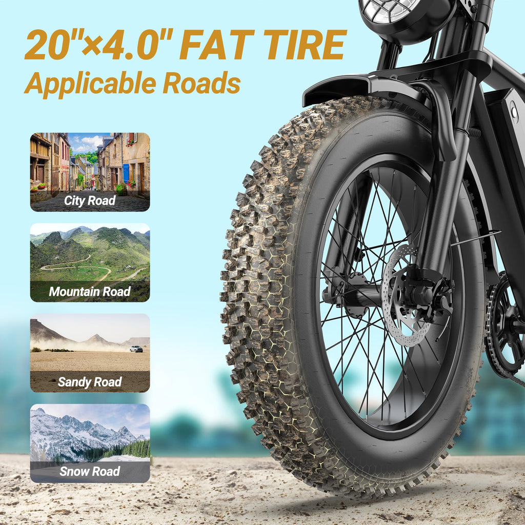 Full Suspension 1500w Motor 31MPH 40-70 Miles 48V 960Wh Removable Battery 20-Inch Fat Tires Electric ebike Q4605